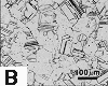 twinned austenitic grain structure