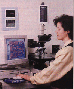 Photo of camera, microscope, and monitor.