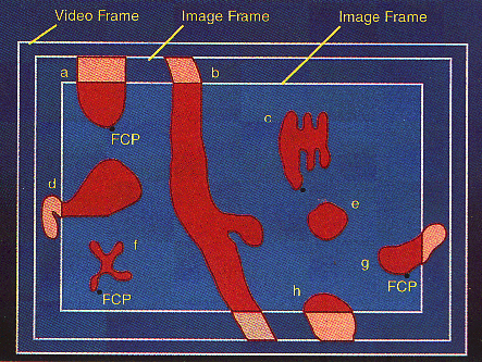 Figure 5. Schematic of frames on the monitor image region.