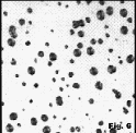 fine nodules in ductile iron, 100x